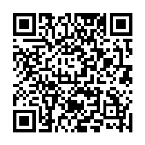 然后找那个叫潘多拉的女生换一点野果当零食填填肚皮二维码生成