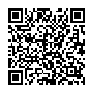 然后把画面中那辆面包车的截图用电脑传给了手下人二维码生成