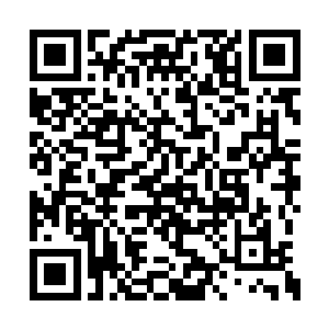 然后把精神头儿养瞳了便会进宫来给父皇请安的二维码生成