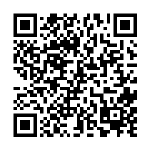 然后把这个蜘蛛魔像战利品一样的丢到了黑铁之堡内二维码生成