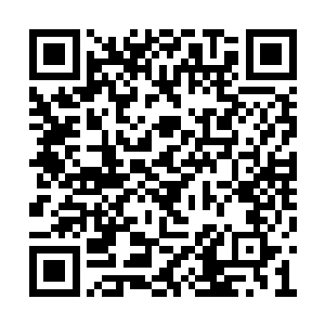 然后抓着两个装着要处理的用不上之物的储物袋二维码生成