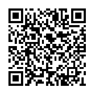 然后拿起地上还没有烧毁的烈士证书和一些档案二维码生成