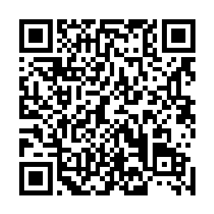然后按照苏叶之前展现出来的狠劲肯定是能够抓住机会立功二维码生成