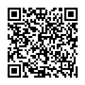 然后早饭的时候凌菲就把红布一样的脸深深的埋在了碗里二维码生成