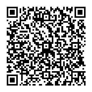 然后是各个领域的科学家和代表着人类智慧极限的尖端学者们……就好像被推倒的多米诺骨牌二维码生成