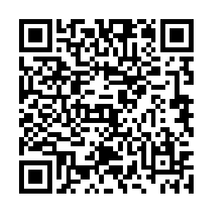 然后智能医疗机器人就会根据这些数据来进行治疗二维码生成