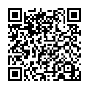 然后杨晨跟郑凯翔谈论了一些关于材料方面的话题二维码生成