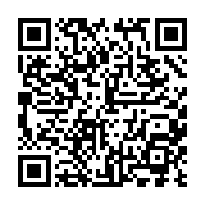 然后每天身上插满仪器等待那些科学家们的检查……二维码生成