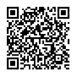 然后牟晨菲就看见那辆灰色丰田轿车一头冲进著名的东京红灯区二维码生成