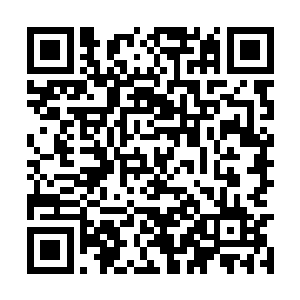 然后由十几只雪狼组成的队伍小跑着从山上跑下来二维码生成