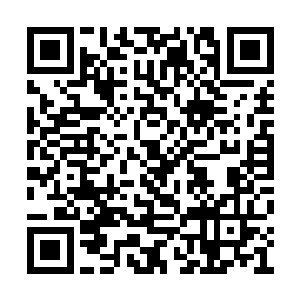 然后由道医裁判所的裁判长对傀儡人偶进行设置二维码生成