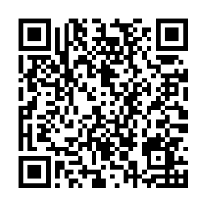 然后直奔着蓬莱秘境的长老殿方向疾驰而去了……二维码生成