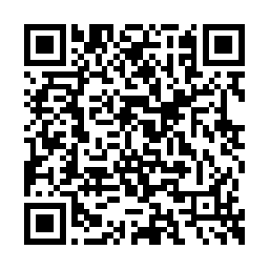 然后直接带着龙傲天朝着前方的宫殿的方向走去二维码生成