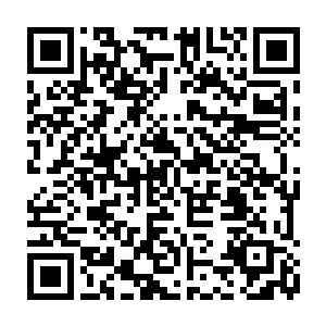 然后直接无视那个元婴期修仙者把目光投向那些慌乱的想逃离出去的修仙者身上二维码生成