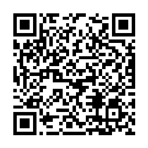 然后看了一眼直接飞掠到飞船更内部的莫崎的背影二维码生成