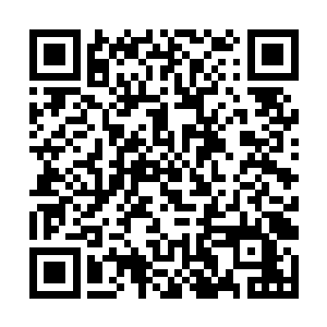 然后看着红甲面不改色的带着一串人回到了那个药埔二维码生成