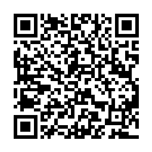 然后看见那座古老宫殿内迸发出无数细小的黑白闪电二维码生成