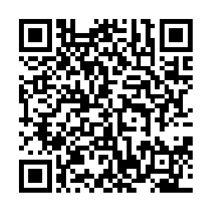 然后眼眸晶亮的捧起了那块一米见方半掌厚的四方地板砖二维码生成