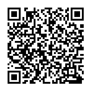 然后瞬间在原本已经被彻底冻结的地面上又覆盖了一层至少超过半米的厚厚坚冰二维码生成