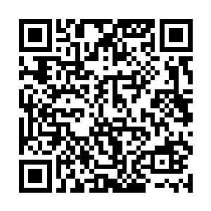 然后神色只带着震惊又火热的看着下方那小兽开口道二维码生成