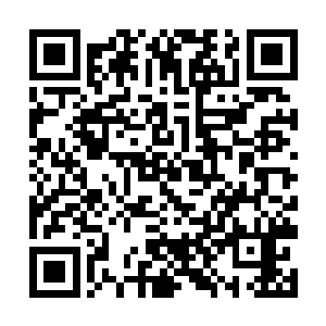 然后继续凝聚地刺不断撕碎那些仍在地面的变异蟋蟀二维码生成