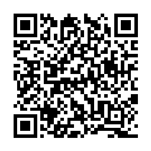 然后继续在海底的海藻林中更加仔细的寻找了起来二维码生成