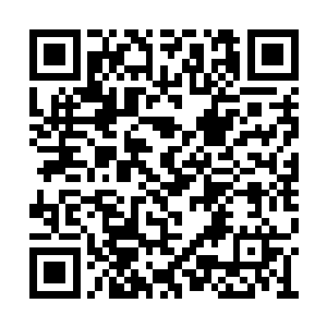 然后绿意以肉眼可见的速度化作一棵棵苍天大树二维码生成