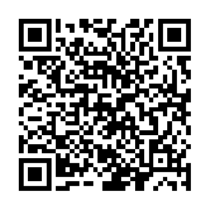 然后自己再往回赶这一来一去的就要到了腊月二十七了二维码生成