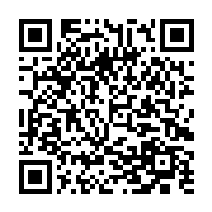 然后花费了很大的力气才炼制成功了这么一枚血巫丹二维码生成