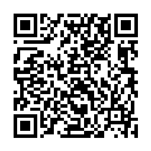 然后苏凡带领着剩下的人将所有人的宝贝小心翼翼的运走二维码生成