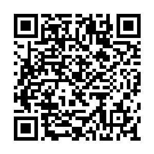 然后被他们练成了本命法宝转生轮盘和转生之门二维码生成