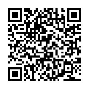 然后被其他仙人刷刷看过来的平静的疑惑目光也瞩目二维码生成