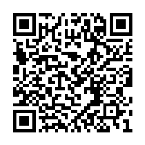 然后裂痕以肉眼可见的速度向四面八方蔓延而去二维码生成