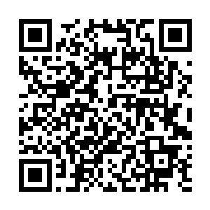 然后跟巴克揣测的这种队伍多半就应该是针对叙利亚不同二维码生成
