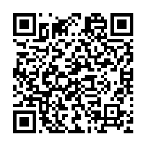 然后身形一动就到了秦方的肩膀上了……甚至还伸出了小脑袋二维码生成