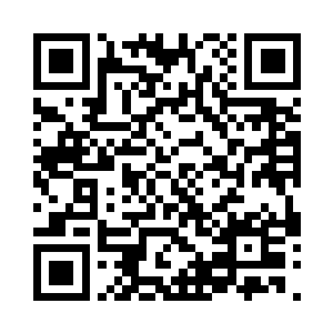 然后身边的两个小弟就一个按住陈胖子二维码生成