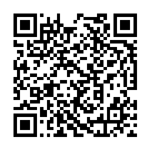 然后身边的地上扔着一根多半截都是鲜血的椅子腿二维码生成
