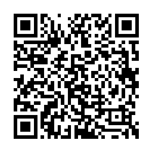 然后还把自己带来的一些青储饲料一同搬了下来二维码生成