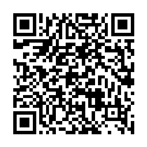 然后还拿出了一套网球王子的动画片播放给了司笑语看二维码生成