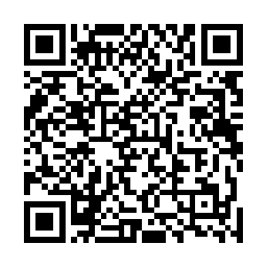 然后还用一口好牙口把里面的冰块也嘎嘣嘎嘣的嚼碎咽下二维码生成