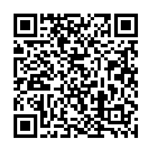 然后这个吸收了神血石的后代在出生后就会十分强大二维码生成