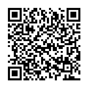 然后这十三个领主就没有一点骨气的直接宣布投降二维码生成