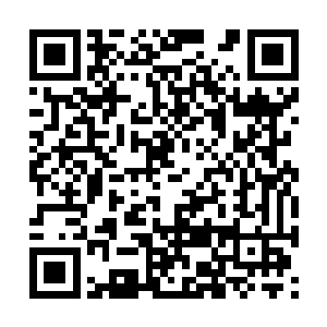 然后那张蜘蛛网竟然将那个夜叉杀手凌空悬吊起来二维码生成