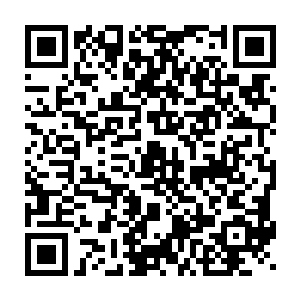 然后那若干个培养罐中的的其中一个罐子里培养液慢慢地全部消失二维码生成