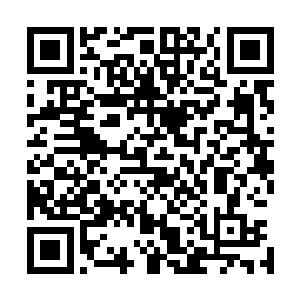然后配合队伍的其他人毫不犹豫地教训了那个红发高层一次二维码生成