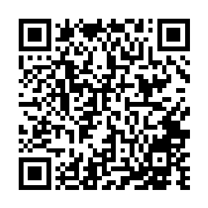 然后重新化为点点五色光辉融入到了那琉璃菩提树之中二维码生成