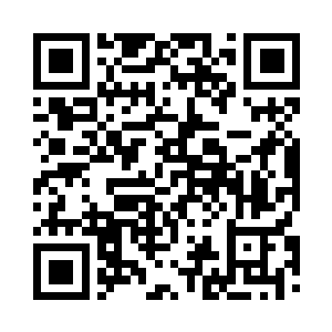 然后重新把大猫放了出来静静的欣赏二维码生成