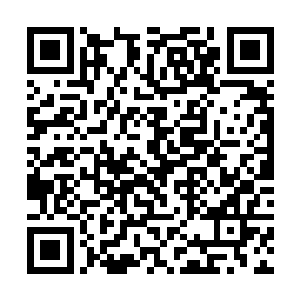 然后阵一和符一在玉棺内外布设和刻制的阵法与符箓二维码生成