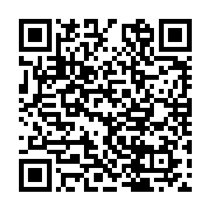 然后阿姨会填充一些辅料做成类似于糖的阿胶糕块二维码生成