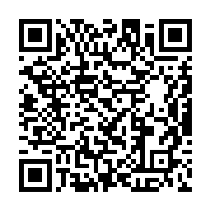 然后随着音乐突然从舒缓回归到极有节奏的电子摇滚二维码生成